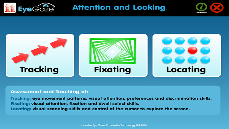 Attention and looking